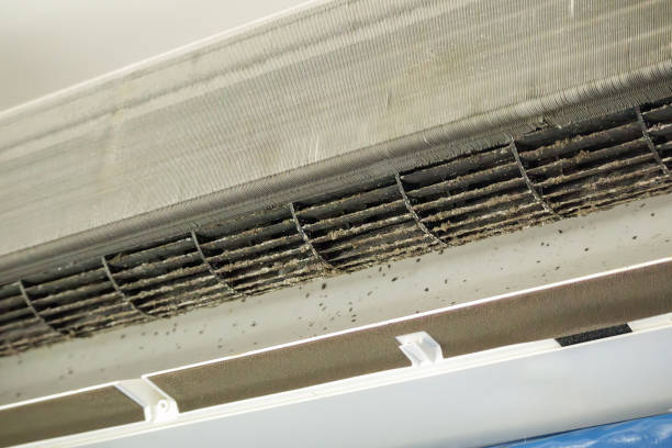 Best Dryer Vent Cleaning Services  in Bonita Springs, FL